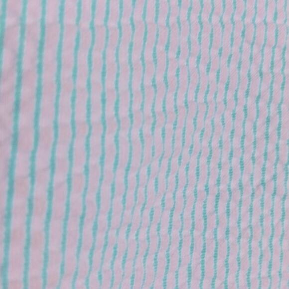 J. Crew White & Turquoise Striped Shorts size 10 - Picture 5 of 6